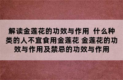 解读金莲花的功效与作用  什么种类的人不宜食用金莲花 金莲花的功效与作用及禁忌的功效与作用